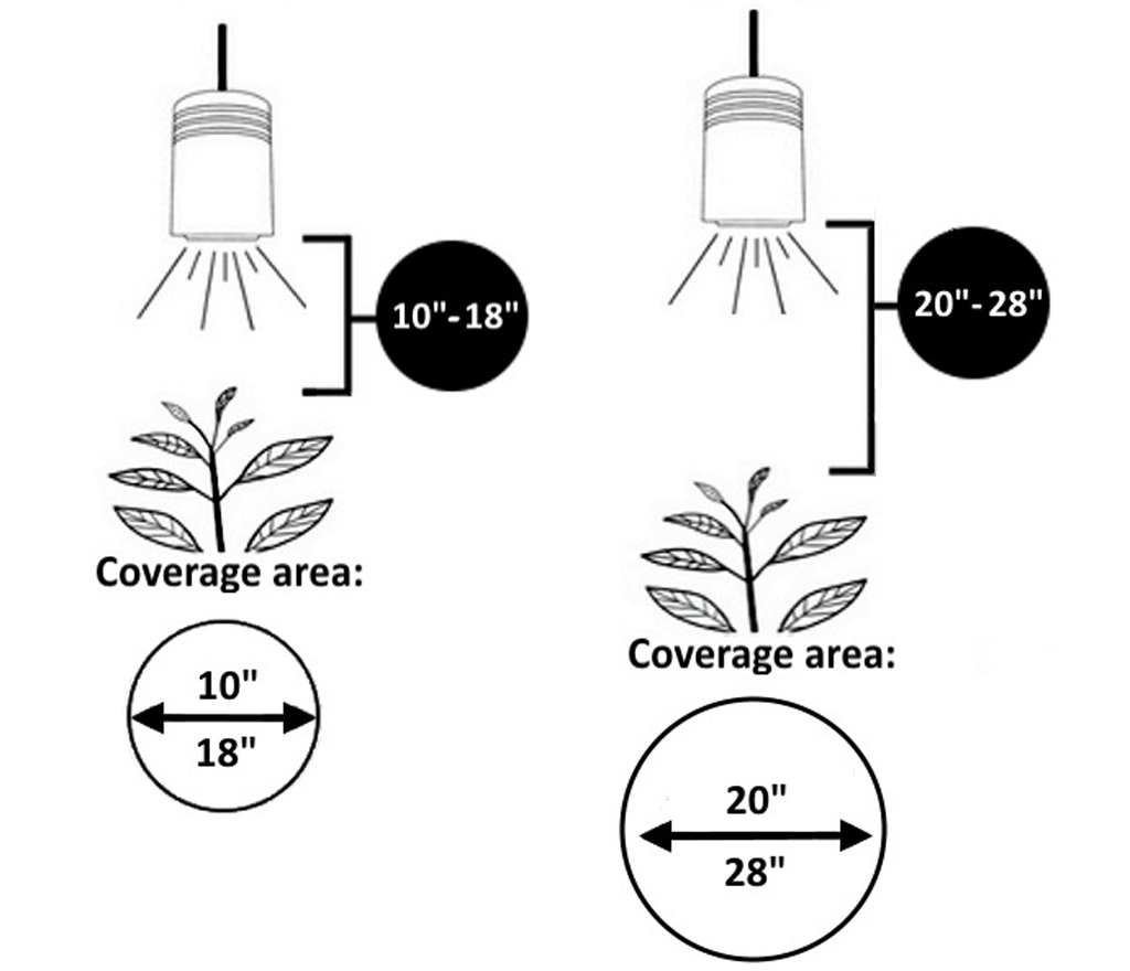 Best grow light bulb for deals succulents