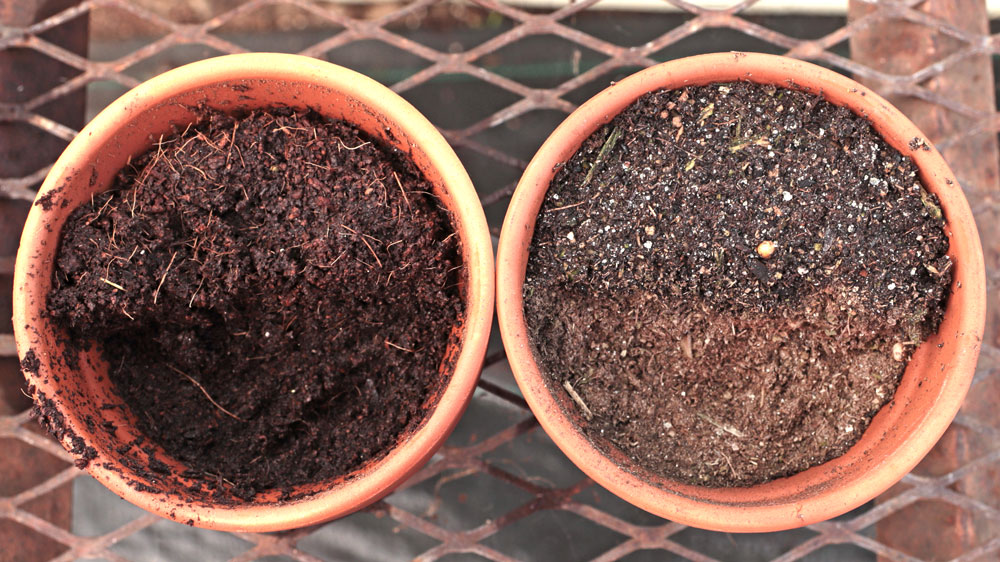 Watering coir (left) versus sphagnum peat (right)