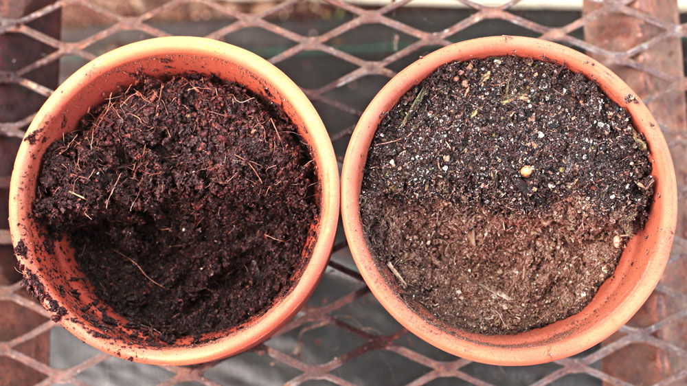 Coconut Coir Closeup