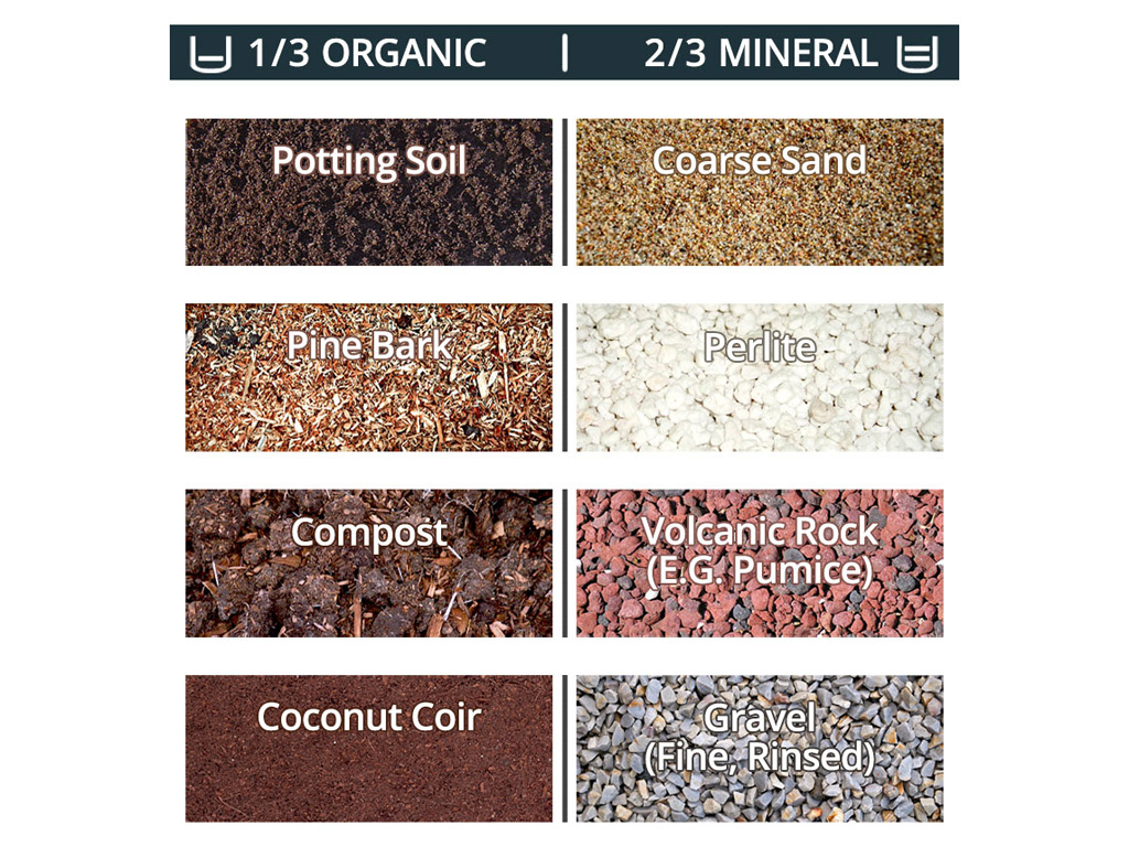 Testing Soil Types for Succulents