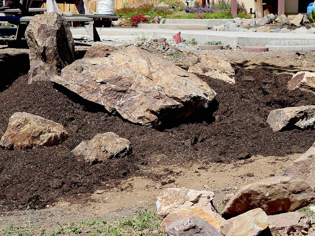 Succulent Rock Garden Soil Berm