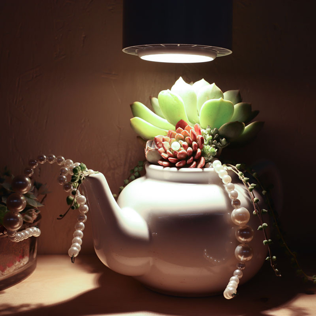 Details about   Colors&4 Tubes LED Growing Light Growth Lamp Light for Succulent Plant Flower US 